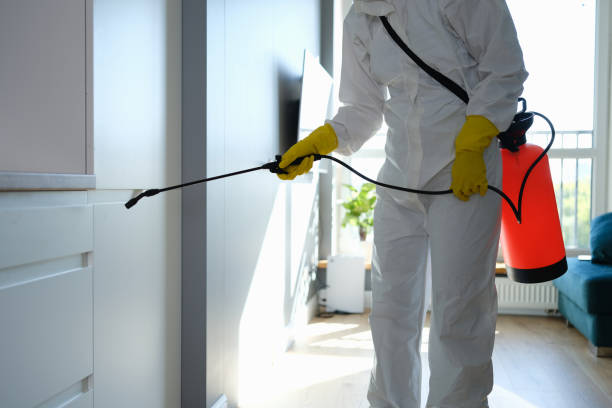 Mascotte, FL Mold Removal Company