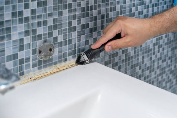 Best Water Damage Restoration  in Mascotte, FL