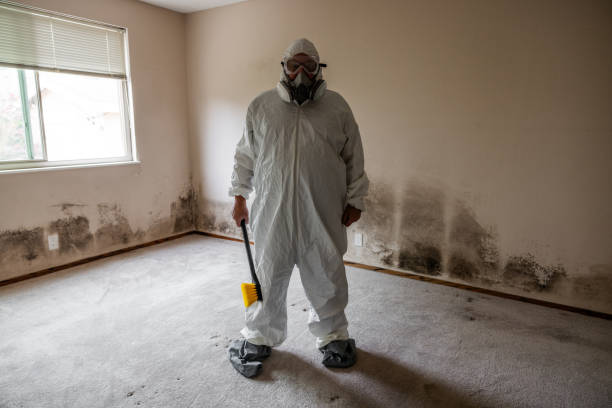 Best Mold Damage Repair  in Mascotte, FL